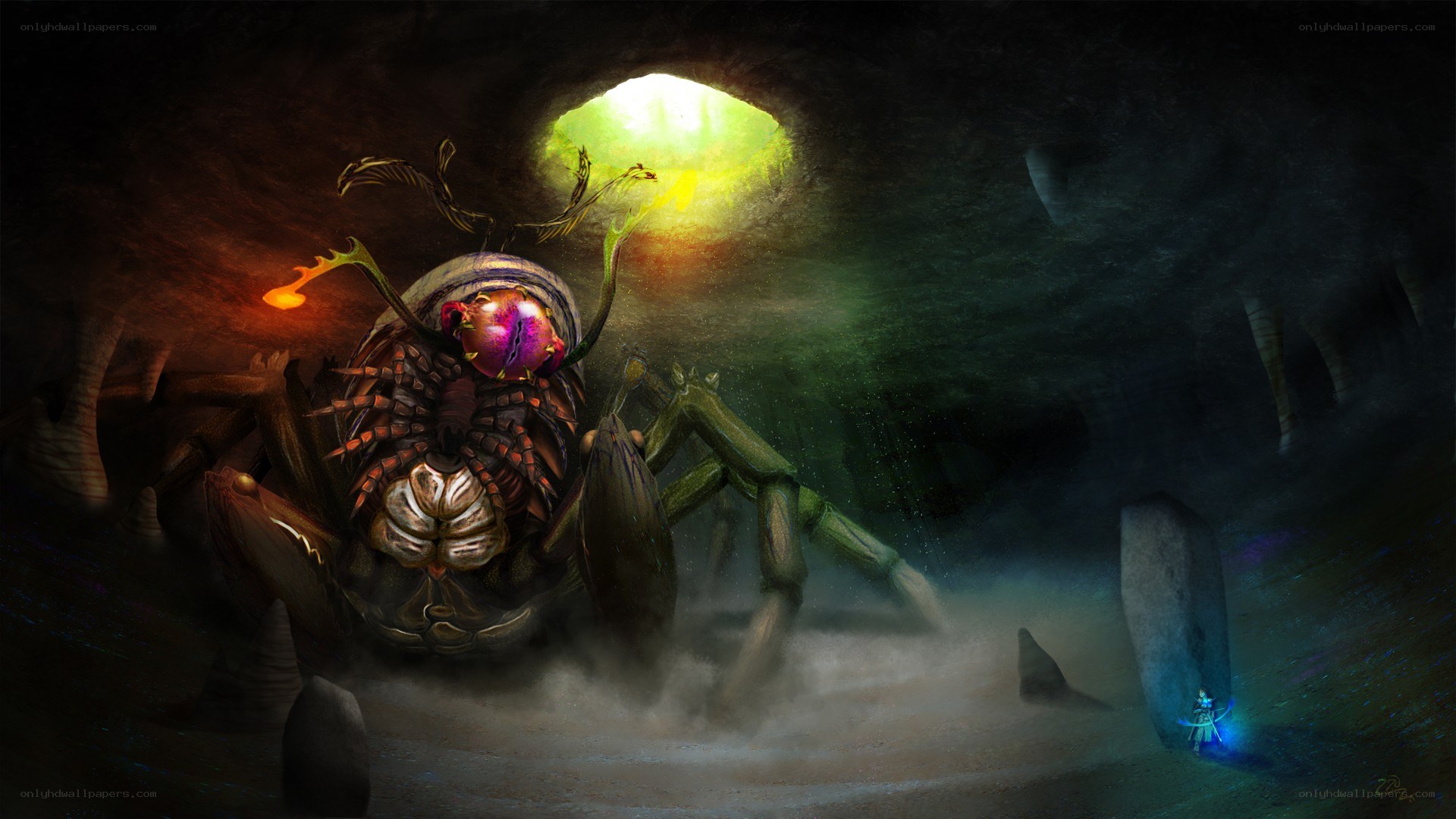 giant spider in dark cave