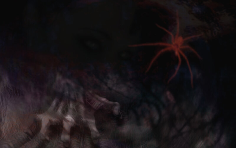 Giant Spider in Dark Forest