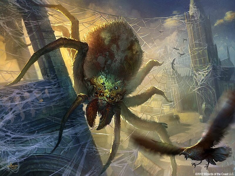 Giant Spider in Web — Brown