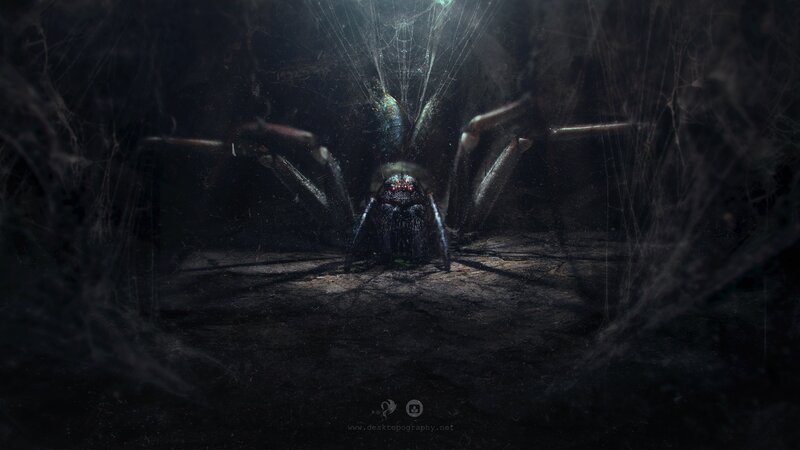 Giant Spider in Web