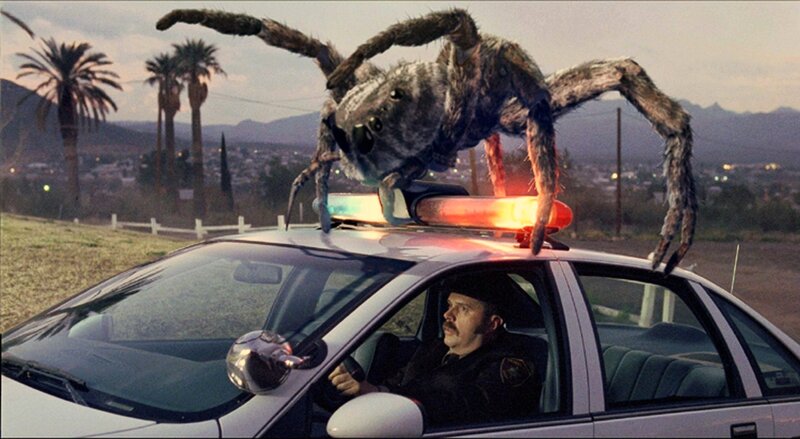Giant Spider on Car