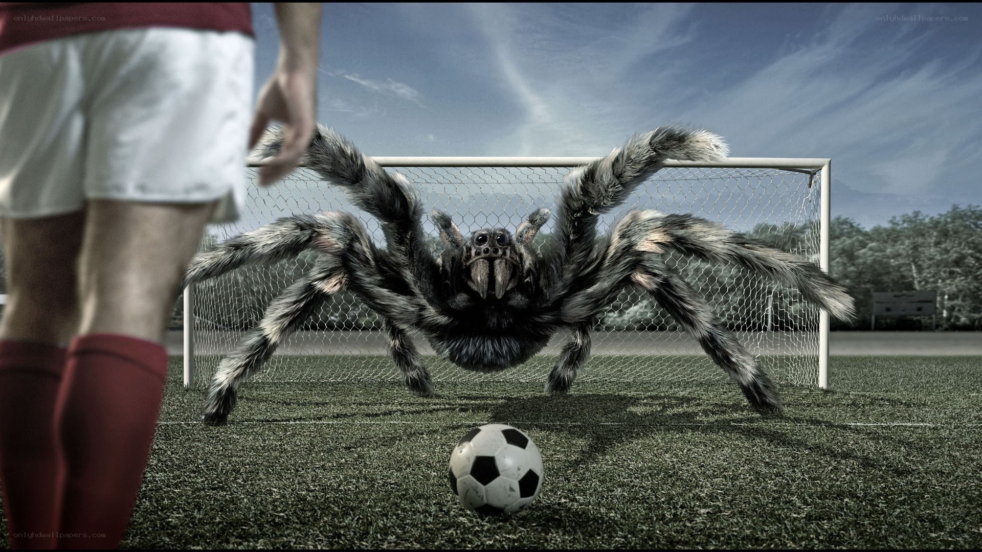 giant spider on soccer field