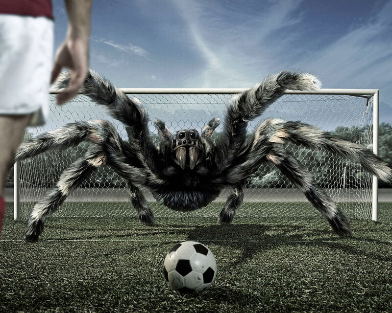 giant spider on soccer field