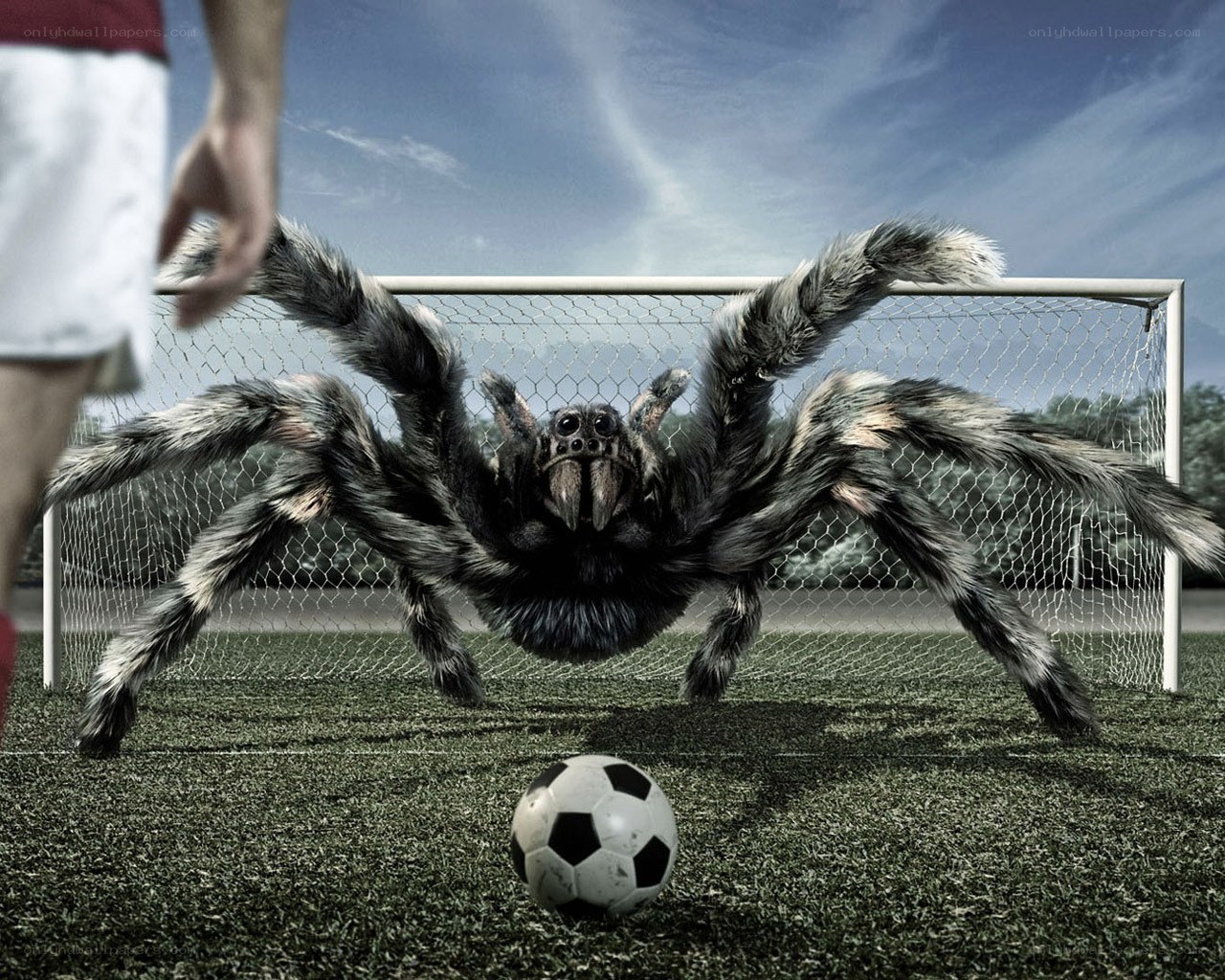 giant spider on soccer field