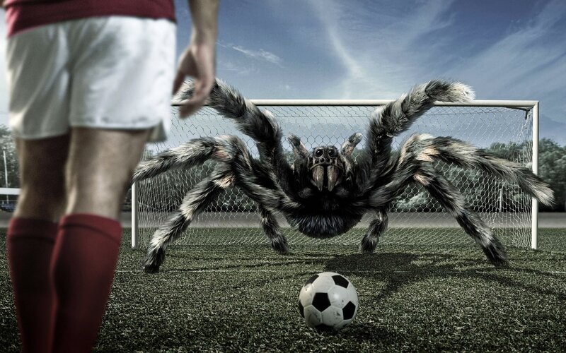 Giant Spider on Soccer Field — Green, Dramatic, Afternoon