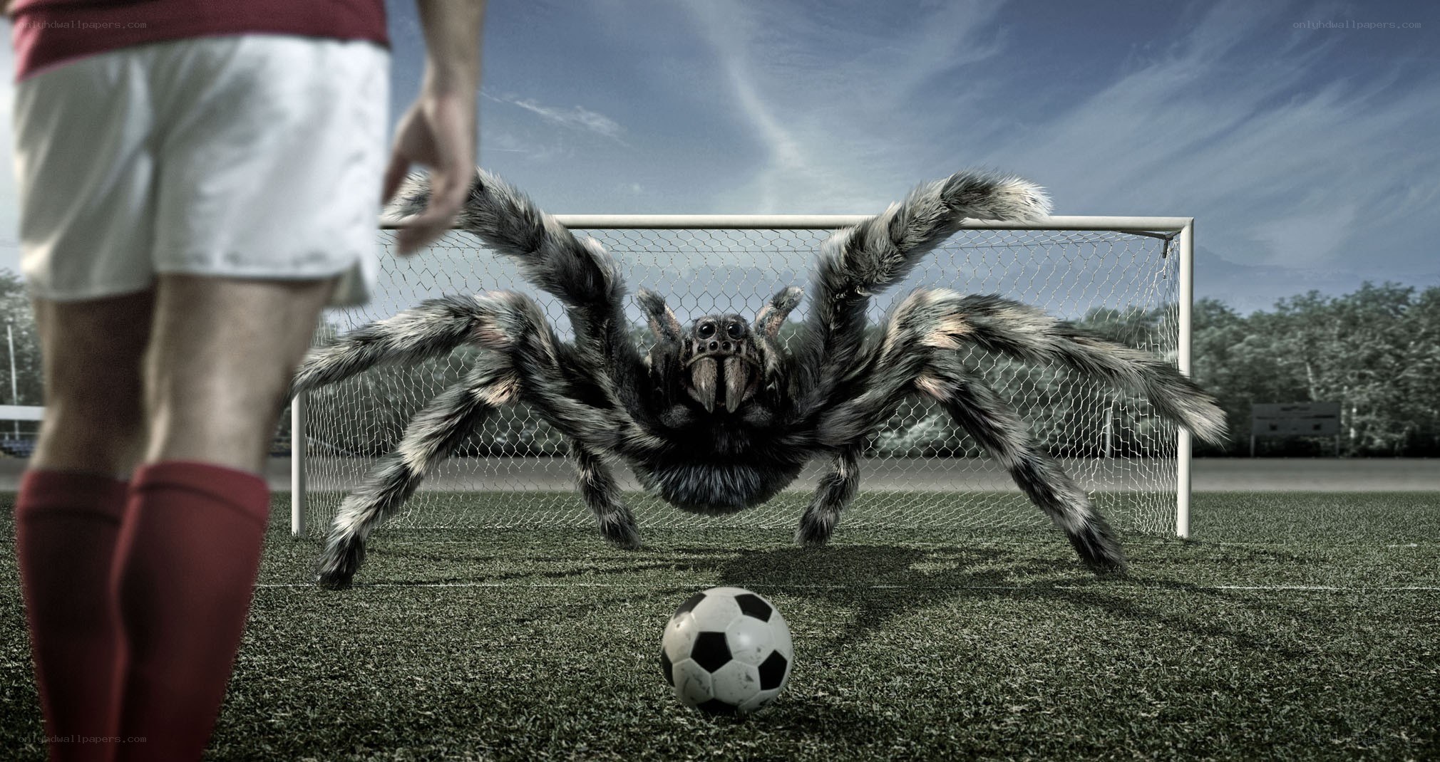 giant spider on soccer field