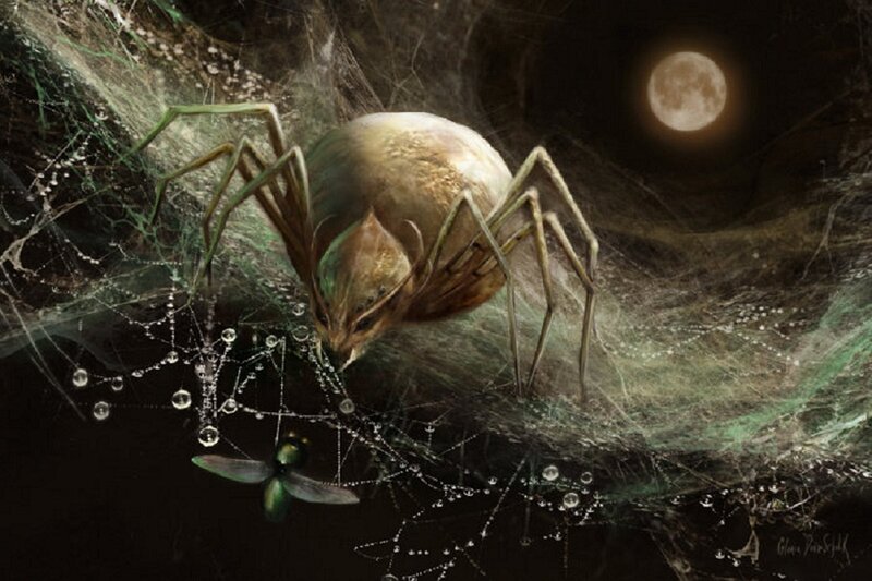 Giant Spider on Web
