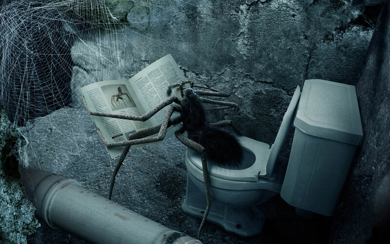 giant spider reading newspaper