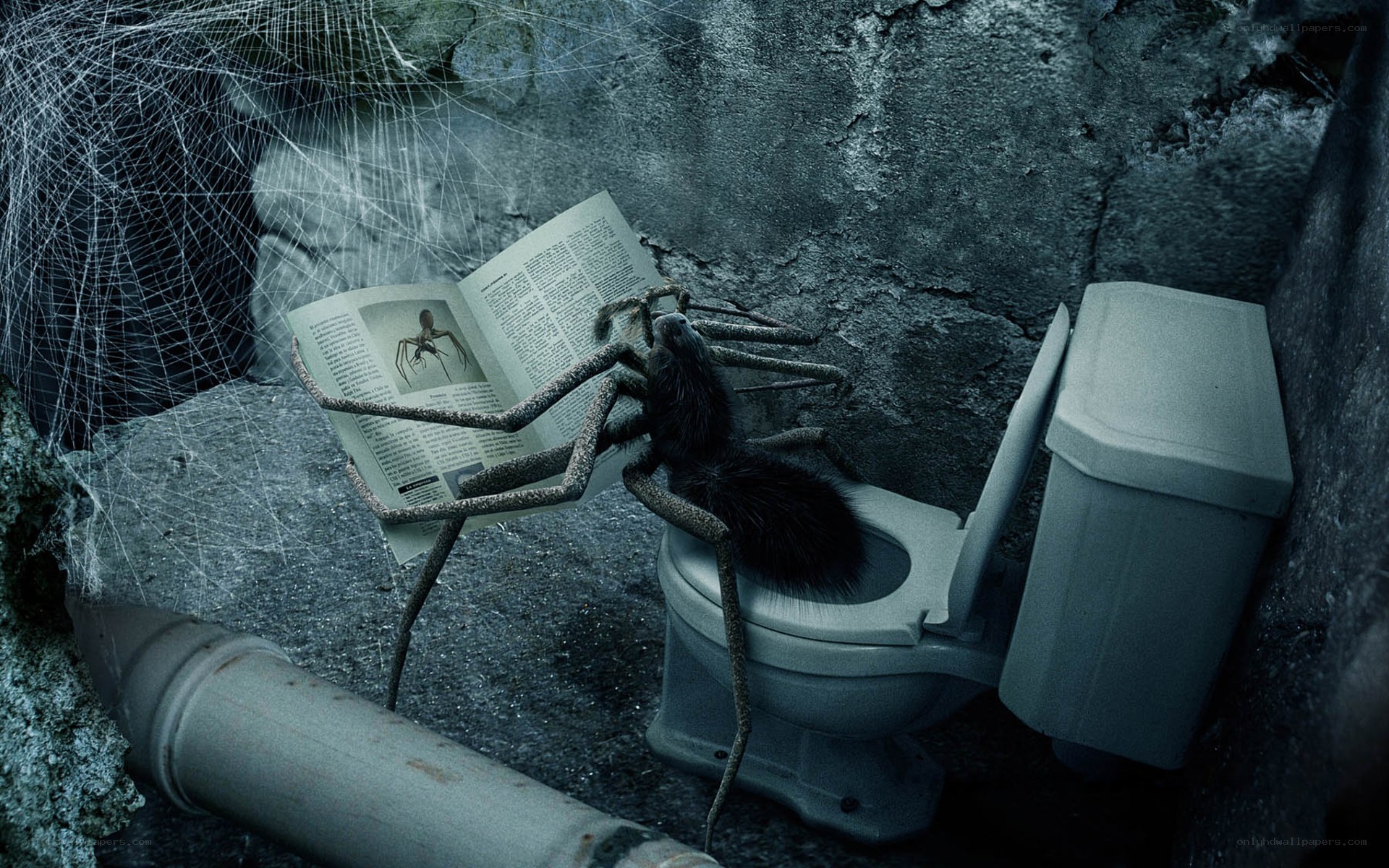 giant spider reading newspaper