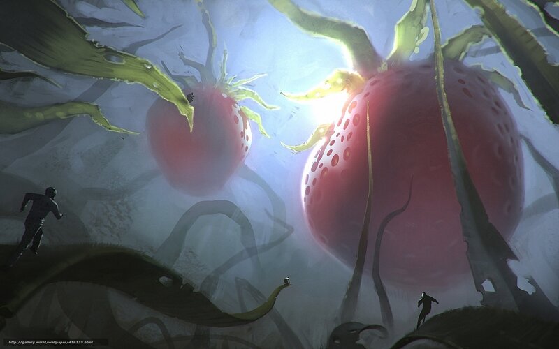 giant strawberries in a dream