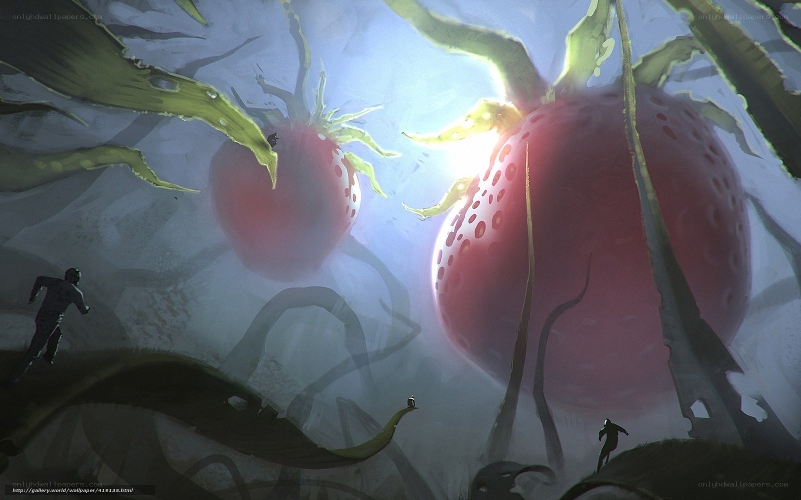 giant strawberries in a dream
