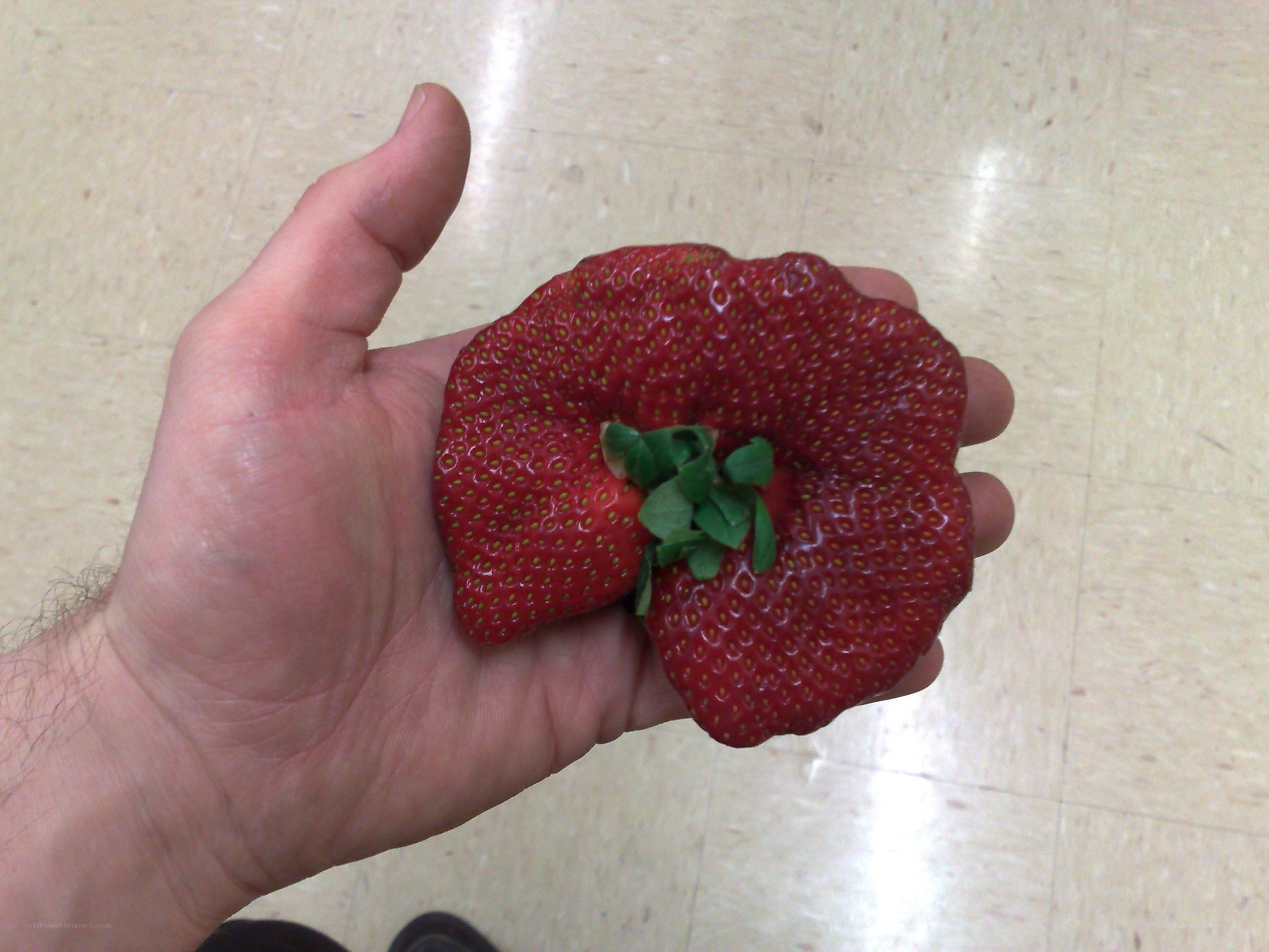 giant strawberry in hand