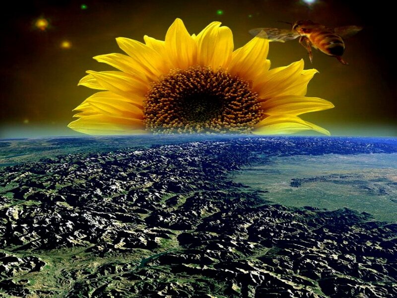 Giant Sunflower Above Earth