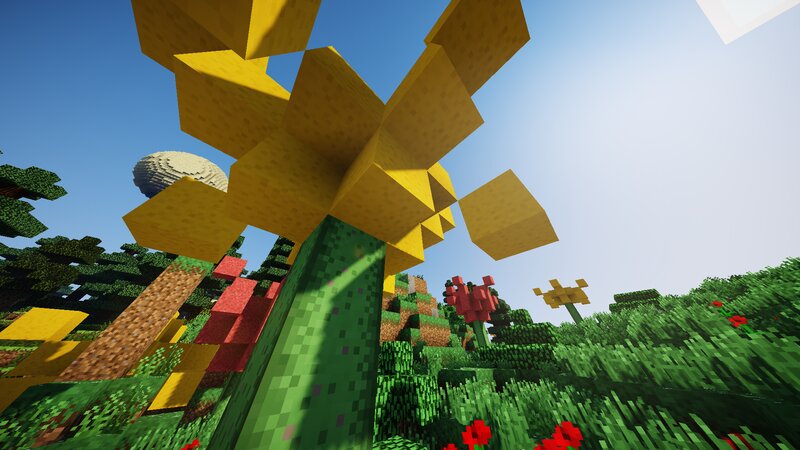 Giant Sunflower in Field — Green
