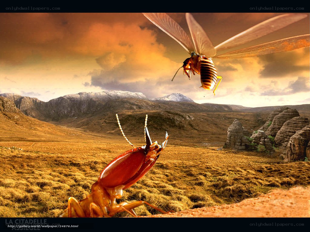 giant termites in a desert
