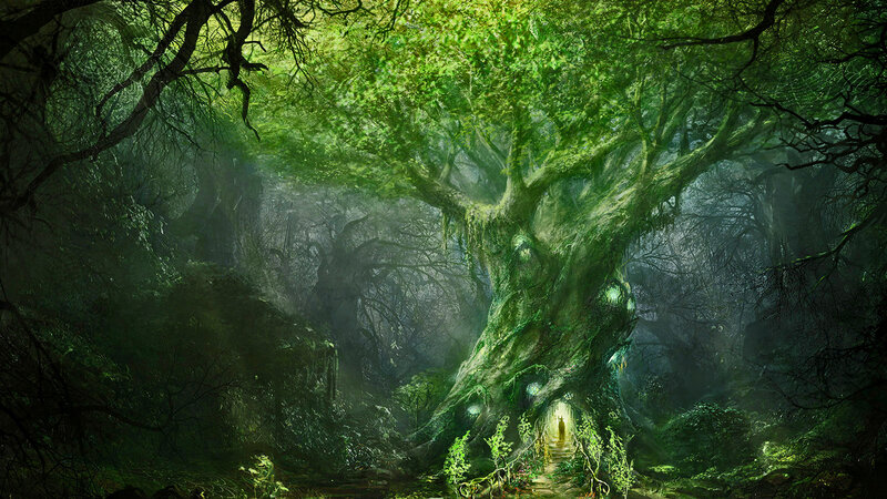 Giant Tree in Forest — Green, Mysterious