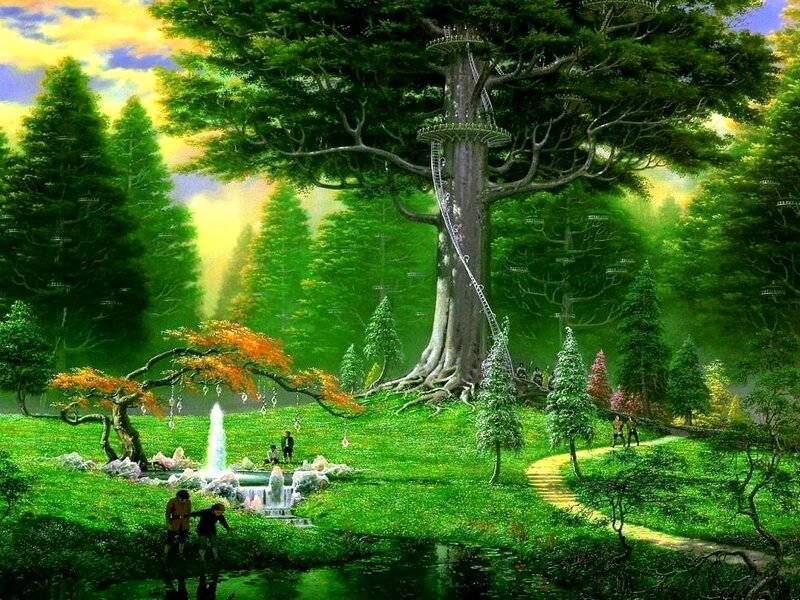 Giant Tree in Forest — Green, Serene, Afternoon