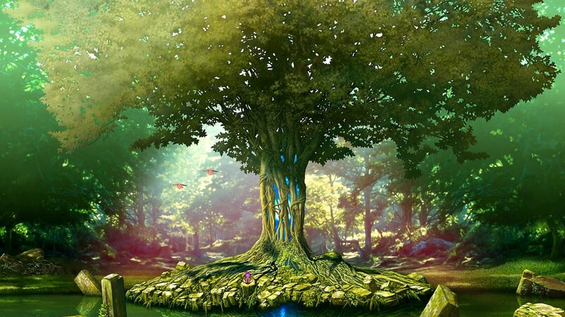 Giant Tree in Forest — Green, Serene