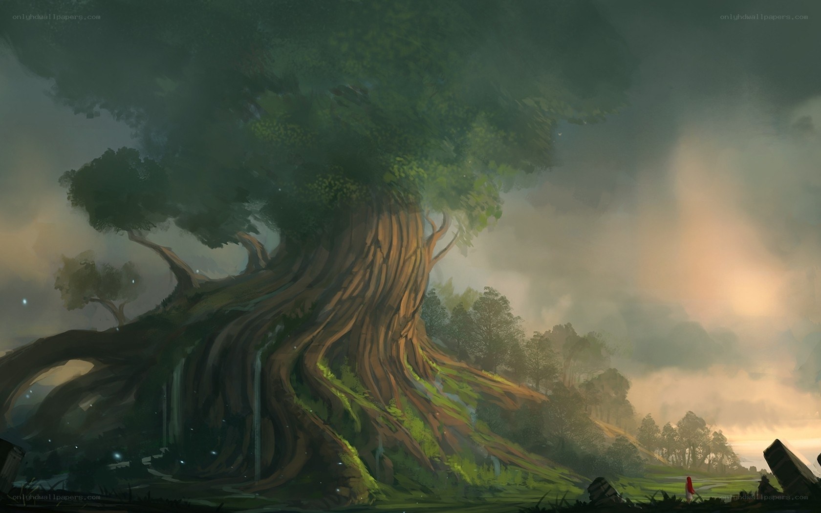 Giant tree in misty forest