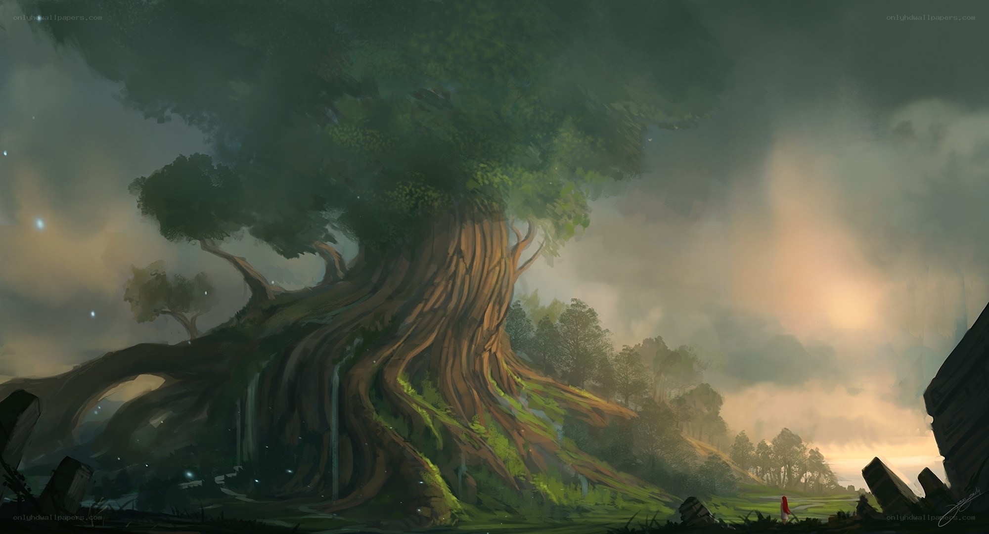 giant tree in misty forest