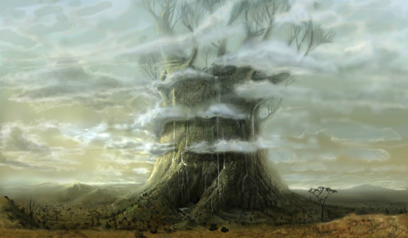 giant tree in misty landscape
