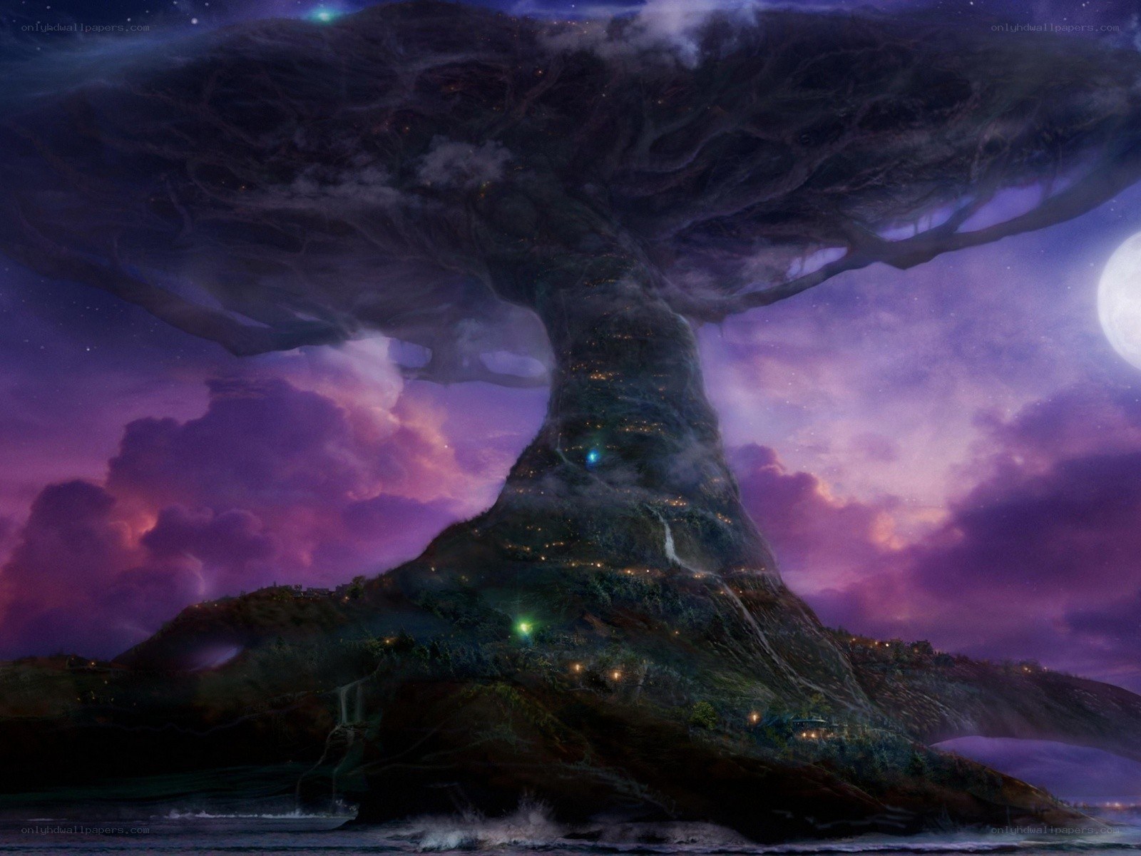 Giant tree on an island
