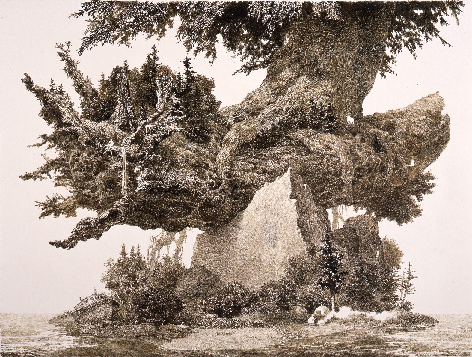 Giant tree on rocky island