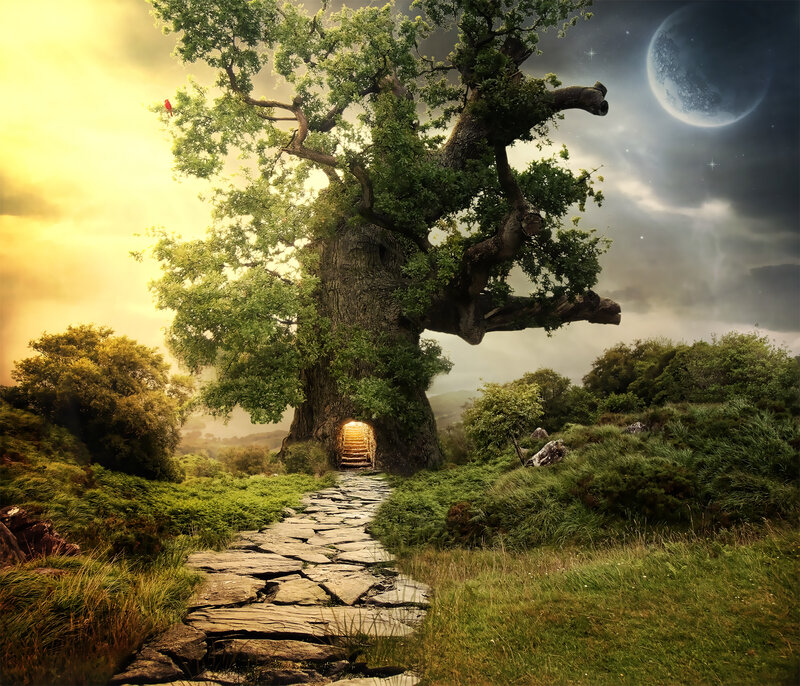 Giant Tree with Door — Green, Fantasy, Night