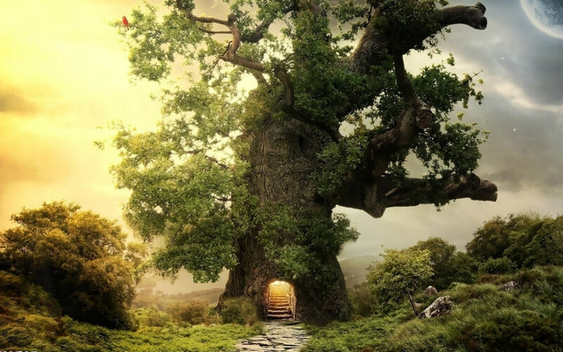 Giant Tree with Door — Green, Serene