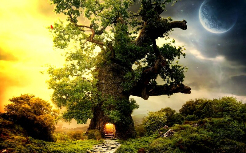 Giant Tree with Door