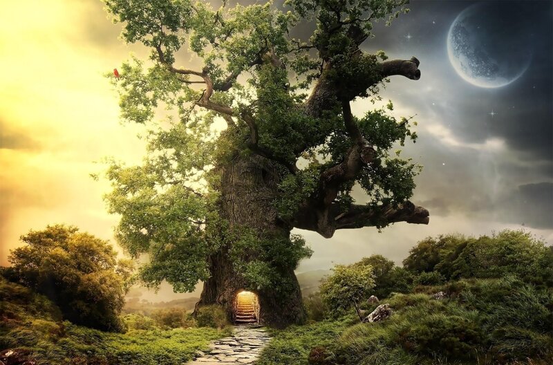 Giant Tree with Doorway — Green, Fantastical, Night