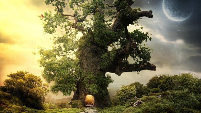 Giant Tree with Doorway