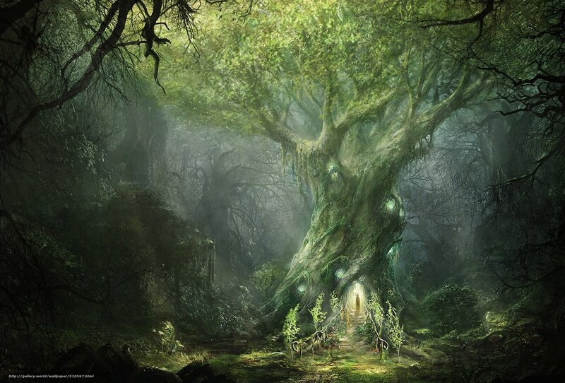 Giant Tree with Glowing Entrance