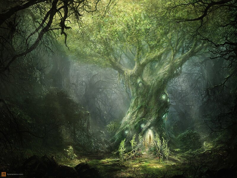 Giant Tree with Hollow