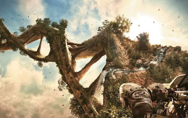 giant tree with motorcycle
