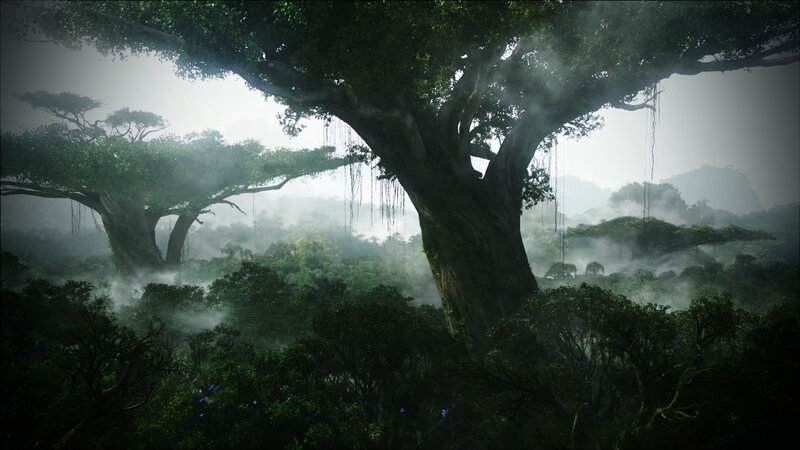 Giant Trees in Misty Forest
