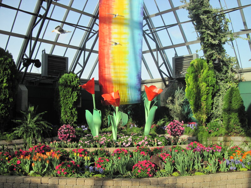 Giant Tulips in Greenhouse