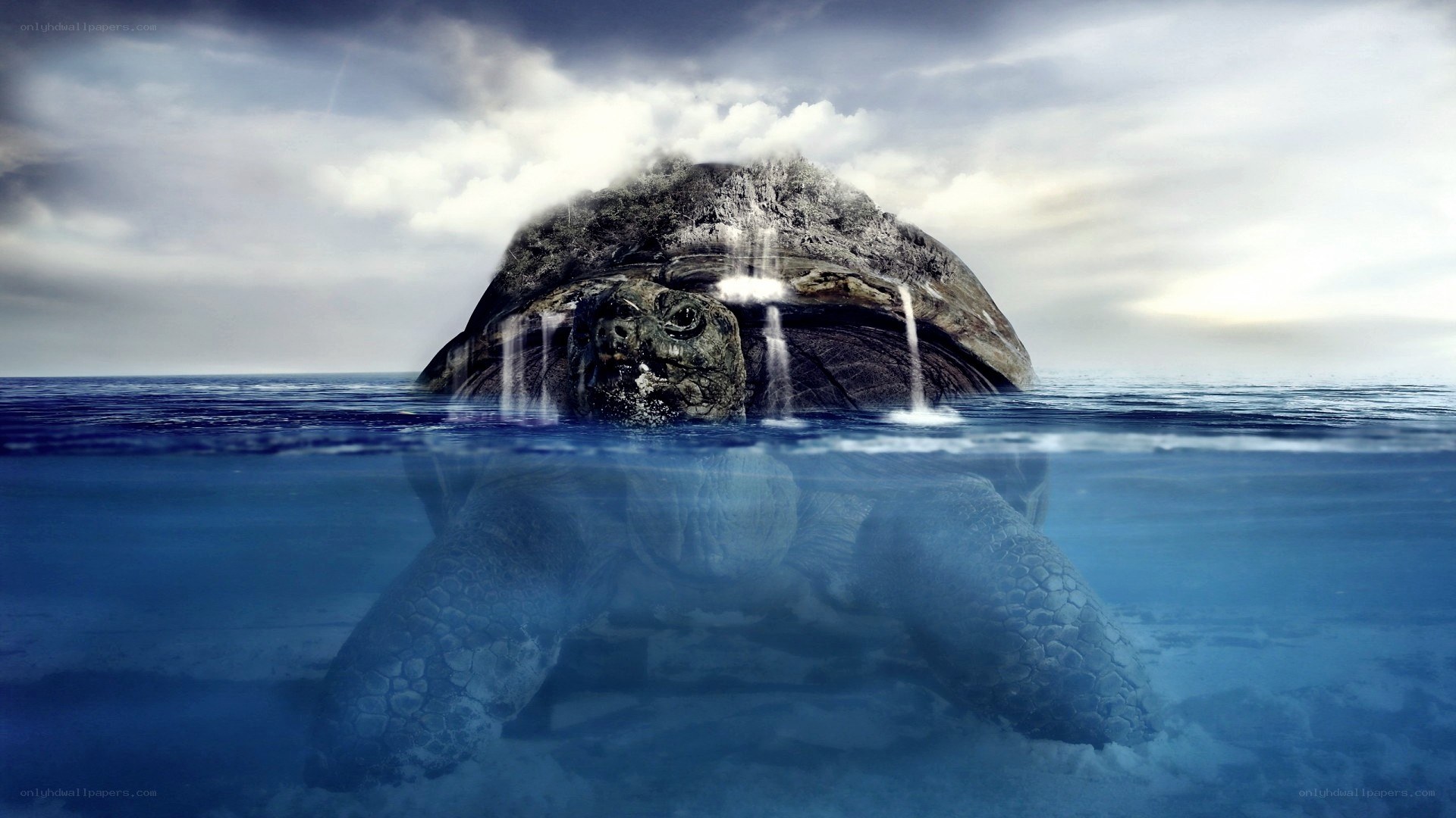 giant turtle in the ocean