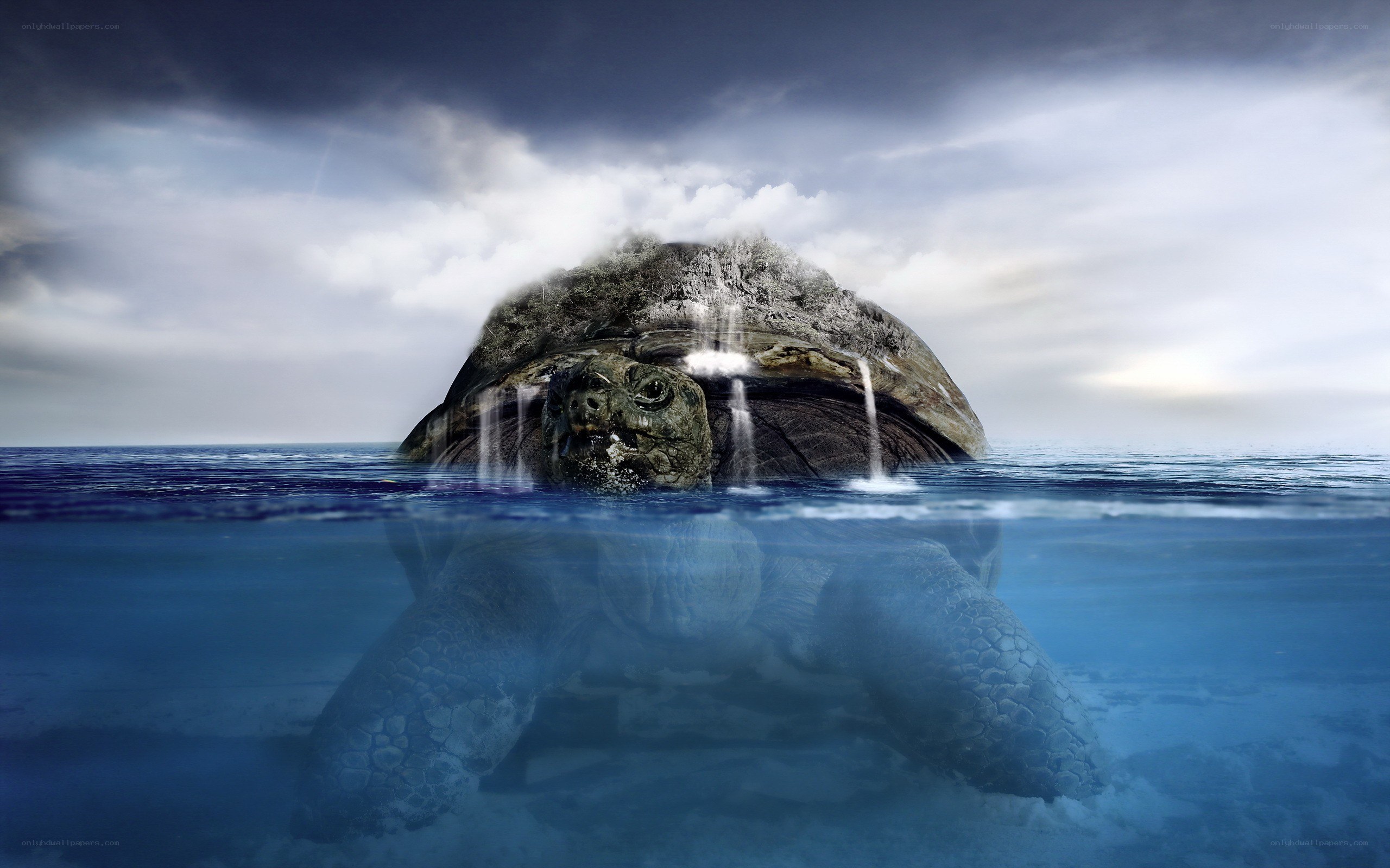 giant turtle in the ocean