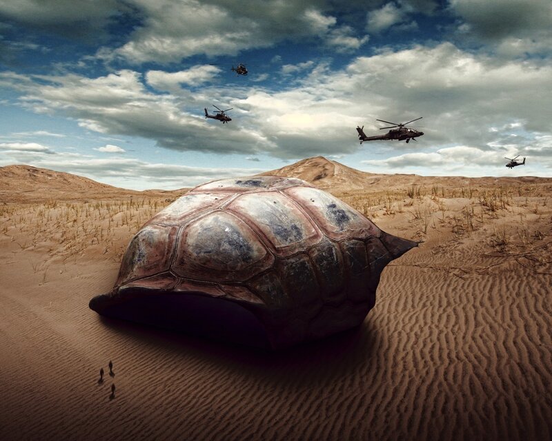 Giant turtle shell in desert