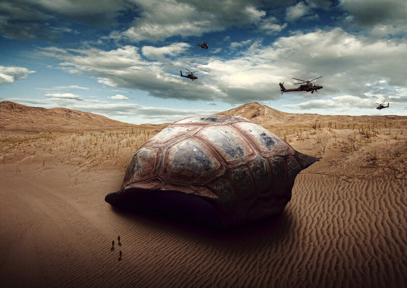 Giant Turtle Shell