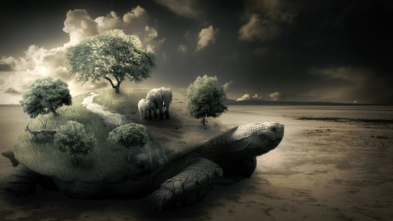 Giant Turtle with Ecosystem — Gray, Dramatic