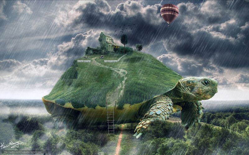 giant turtle with house on back