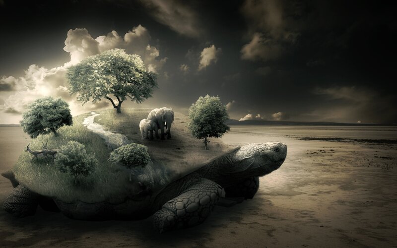 Giant Turtle with Island — Gray