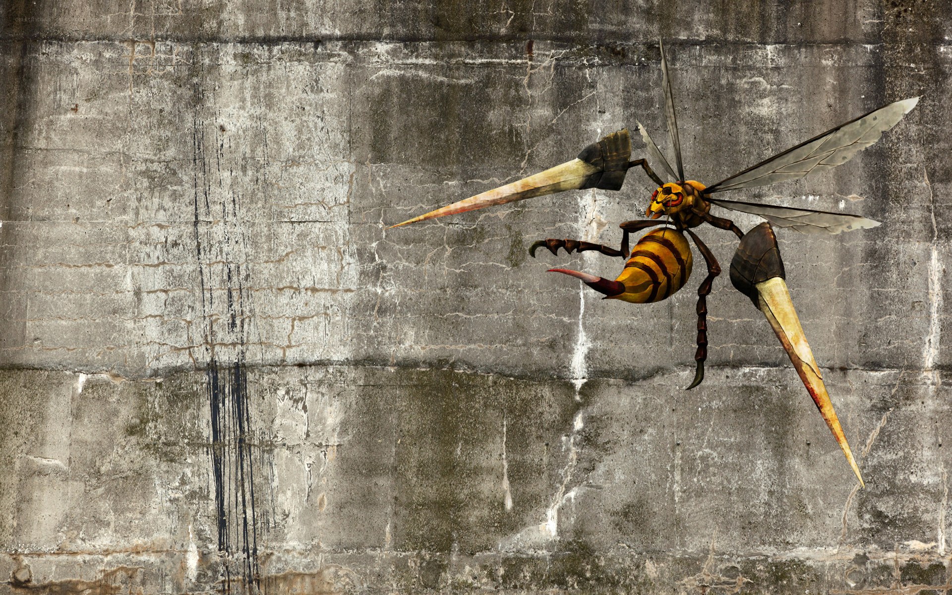 giant wasp on concrete wall