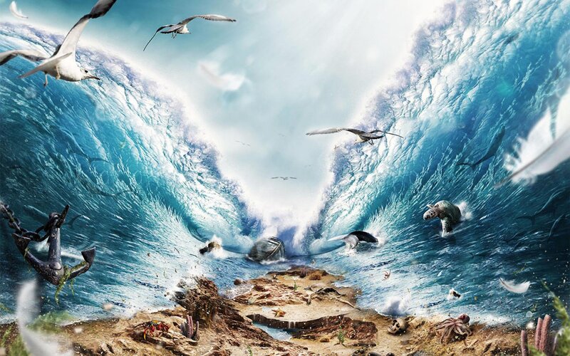 Giant Wave with Sea Creatures