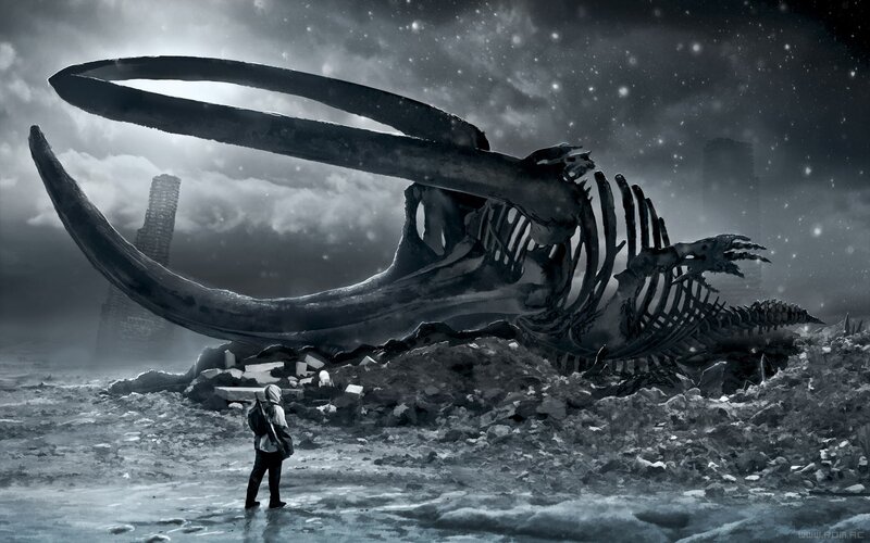 Giant Whale Skeleton — Black