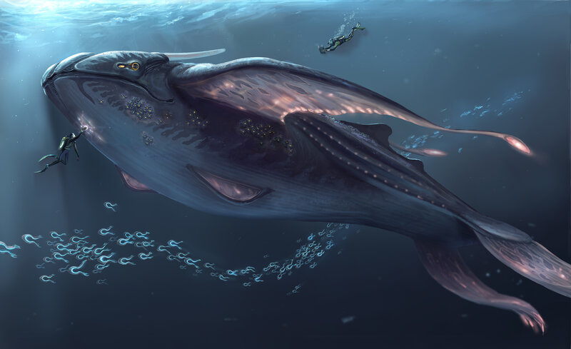 Giant Whale with Divers