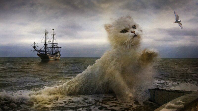 Giant White Cat in Ocean — Gray