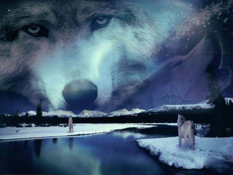 Giant Wolf Face